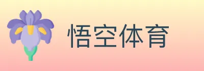 悟空体育 Logo